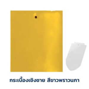 SCG-รุ่นเกล็ดปลา-สีขาว.jpg