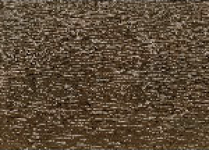 Timber-Browny-1.png