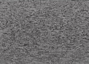 Timber-Grey-1.png