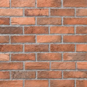 bk_3101_orange.jpg