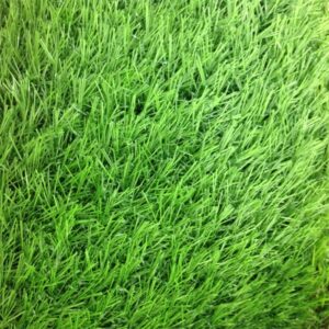 -เอสซีจี-เซฟวิ่งกราส-รุ่นสั่งตัด-ขนาด-2.5-ซม.-สีฟอเรสกรีน.jpg