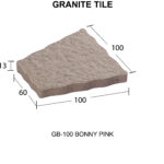GB-100 สีชมพู