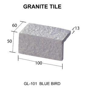 GL-101 Blue Bird