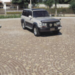 WEX-008