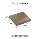 AF-101 FOGGY GRAY