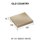 AF-101 SMOKY WHITE