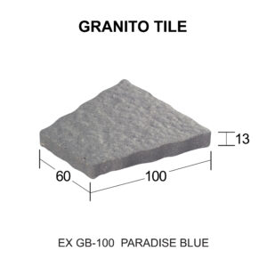 EX GB-100 สีพาราไดซ์บลู