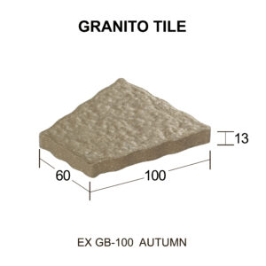 EX GB-100 สีออทั่ม