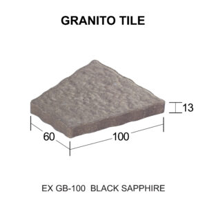 EX GB-100 สีแบล็คแซฟไฟร์
