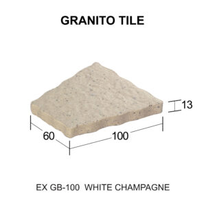 EX GB-100 สีไวท์แชมเปญ