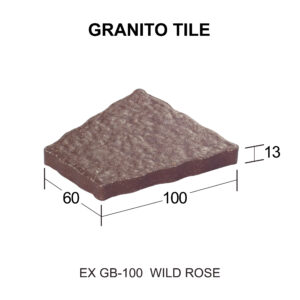 EX GB-100 สีไวล์ดโรส