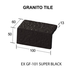 EX GL-101