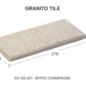 EX GS-201 สีไวท์แชมเปญ