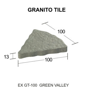 EX GT - 100 [Converted]