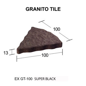 EX GT - 100 [Converted]