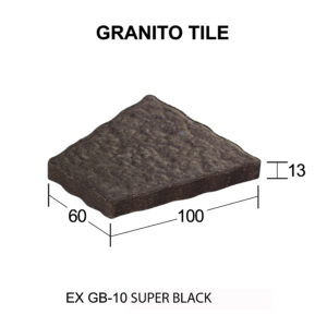 EX GT - 100 [Converted]