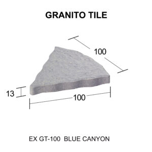 EX GT - 100 [Converted]