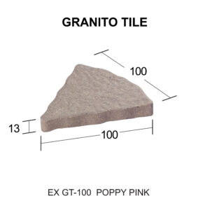 EX GT - 100 [Converted]