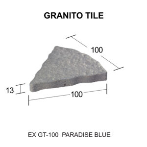 EX GT - 100 [Converted]