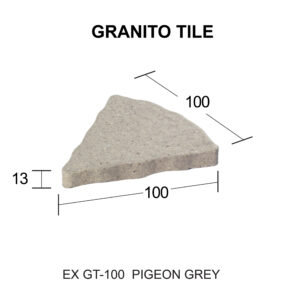 EX GT-100 สีพีเจี้ยนเกรย์