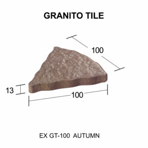 EX GT - 100 [Converted]