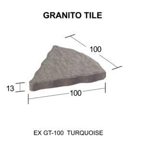EX GT - 100 [Converted]