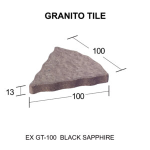 EX GT - 100 [Converted]