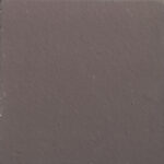 F-101 สีดำ