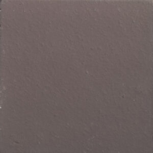 F-101 สีดำ