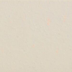 F-106 สีขาว