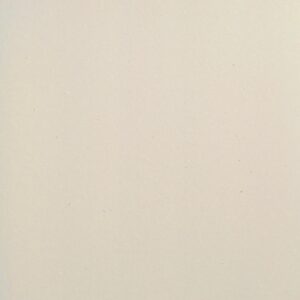F-202 สีขาว