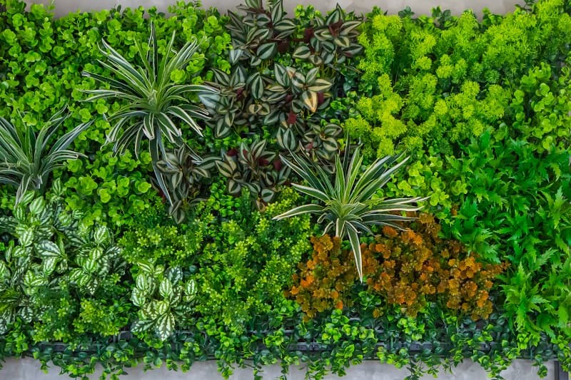 Vertical,Wall,Garden,That,Uses,Leaf,Plants,In,The,Interior